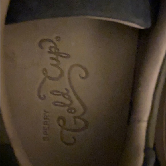 Men’s Sz 9 Sperry Gold Cup NWOT shoes
